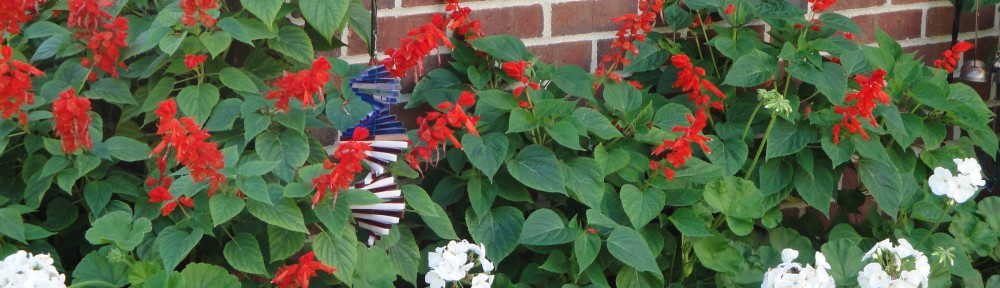 myreystsmouterheritagequest